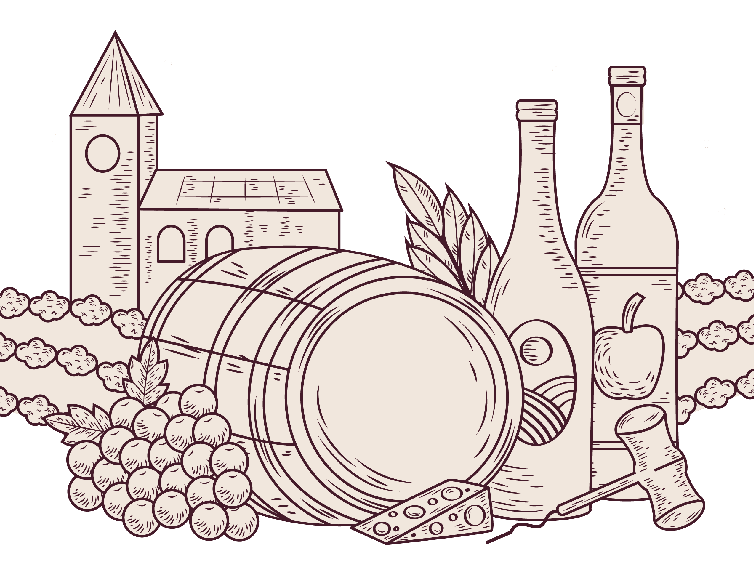 Vineyard illustration